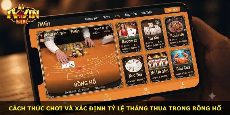Cách thức chơi và xác định tỷ lệ thắng thua trong Rồng hổ