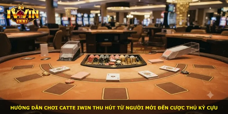 Hướng dẫn chơi Catte iWin thu hút từ người mới đến cược thủ kỳ cựu
