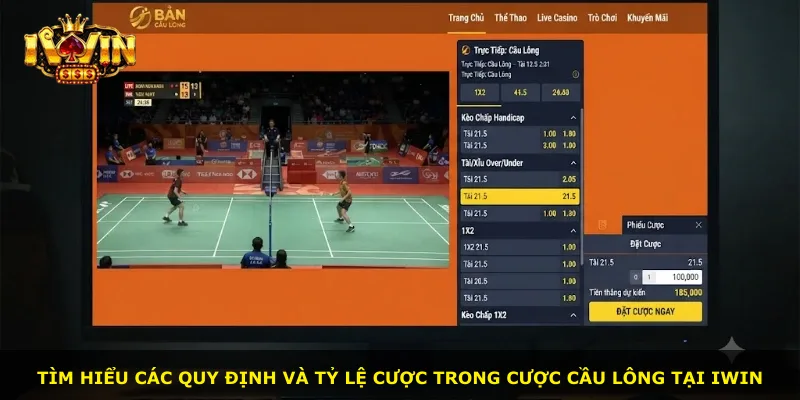 Tìm hiểu các quy định và tỷ lệ cược trong cược cầu lông tại iWin